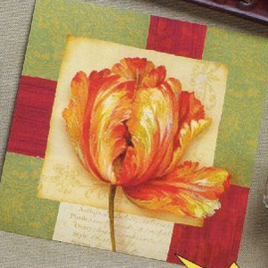 Bella Donna 3-Ply Dinner Napkins