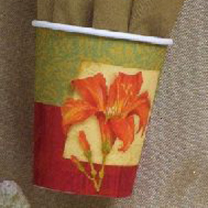 Bella Donna 9 oz Hot/Cold Cups