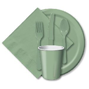 9 oz Hot/Cold Cups, Sage Green