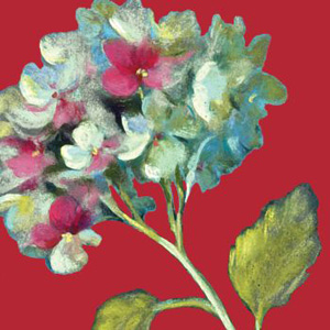 Painted Hydrangeas 3-Ply Beverage Napkins
