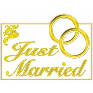 Glittered Just Married Sign