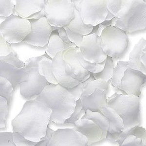 Silk N Rose Petals, White