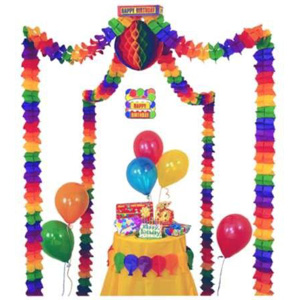 Birthday Party Canopy