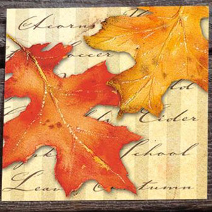 Harvest Hues Better than Linen Beverage Napkins