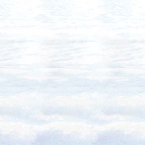 Snowscape Backdrop