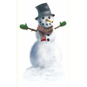 Snowman Peel & Place