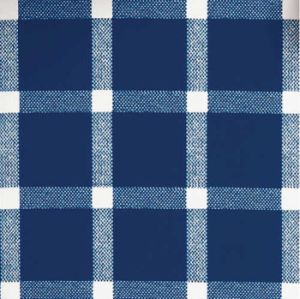 Picnic Plaid Blue Better than Linen Beverage Napkins