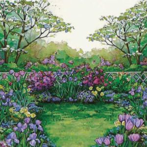 Nature's Tapestry 3-Ply Beverage Napkins
