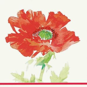 Red Poppy Better than Linen Beverage Napkins