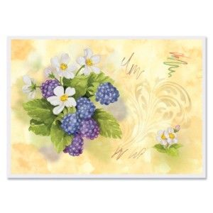 Black Berries Placemats