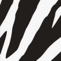 Animal Print Zebra 3-Ply Beverage Napkins