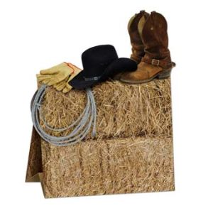 3-D Western Centerpiece
