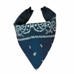 Blue Bandana