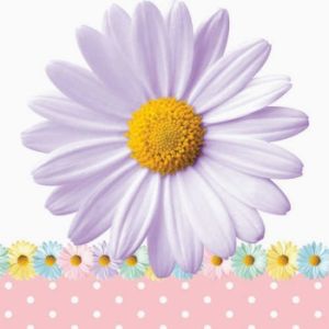 Fresh Daisies 3-Ply Beverage Napkins
