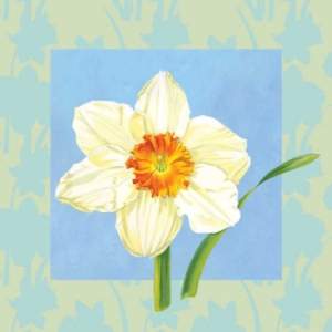 Daffodil Beverage Napkins