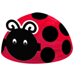 Ladybug Fancy Centerpiece