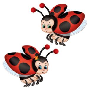 Ladybug Cutouts