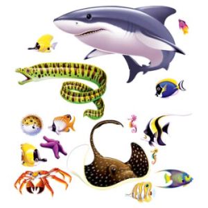 Marine Life Props