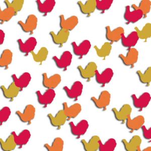 Turkey Confetti