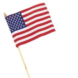 Cloth American Flag 8
