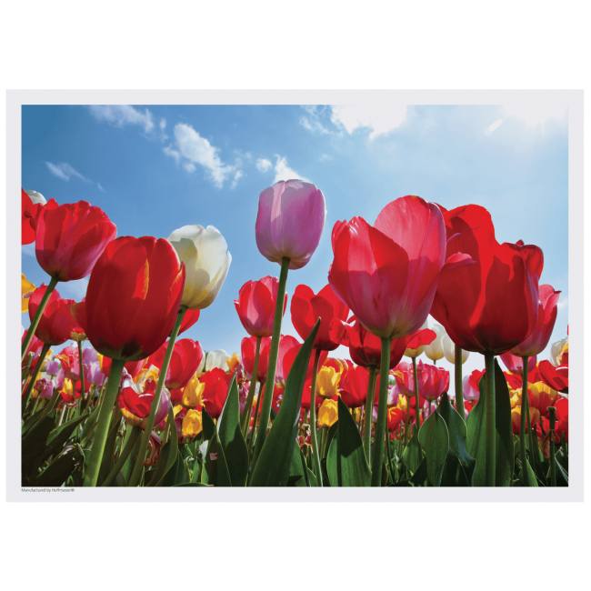 Spring Flowers Placemats Tulips Printed Paper Placemats