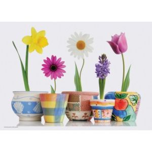 Potted Flowers Placemats