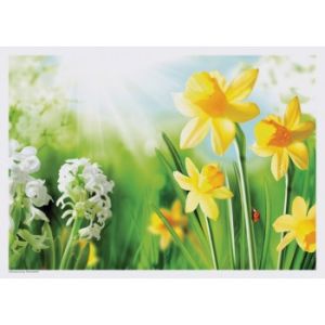 Spring Flowers Placemats Daffodils