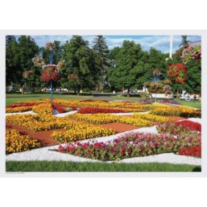 Summer Scenes Placemats Flower Garden