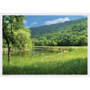 Summer Scenes Placemats Stream