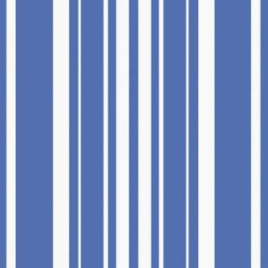 Coordinate 3-Ply Lunch Napkins, True Blue Stripe