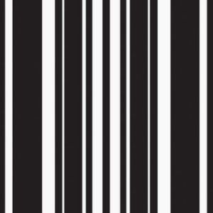 Coordinate 3-Ply Beverage Napkins, Black Stripe