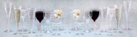 plastic champagne wine glasses