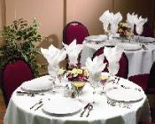 Linen Like Tablecloths & Napkins
