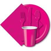 Hot Magenta Paper and Plastic Dinnerware