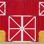 Red Barn Insta-Theme