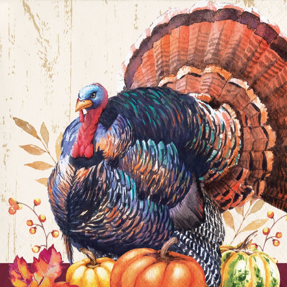 Thanksgiving Harvest Turkey Beverage Napkins Party at Lewis Elegant Party Supplies, Plastic