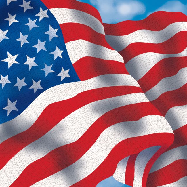 Patriotic Celebration Beverage Napkins Party at Lewis Elegant Party