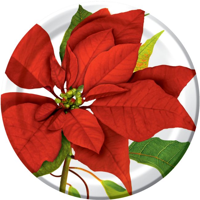 Scarlet Jubilee 101/4inch Plates Party at Lewis Elegant Party Supplies, Plastic Dinnerware