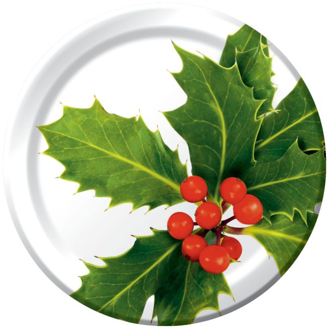 Scarlet Jubilee 7inch Plates Party at Lewis Elegant Party Supplies, Plastic Dinnerware, Paper