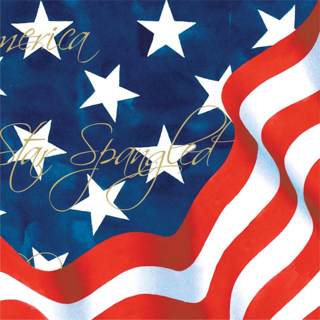 America America Beverage Napkins Party at Lewis Elegant Party Supplies