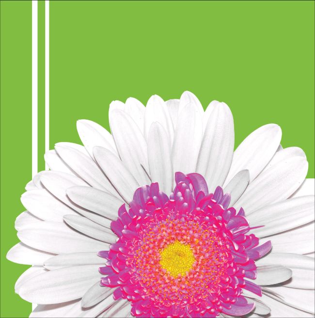Daisy Power Lunch Napkins Party at Lewis Elegant Party Supplies