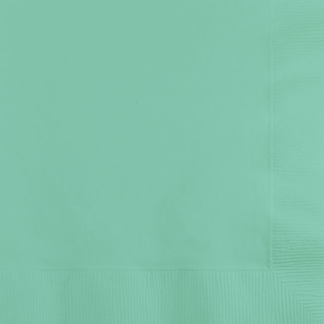 Fresh Mint Green Paper Beverage Napkins Party at Lewis Elegant Party Supplies, Plastic