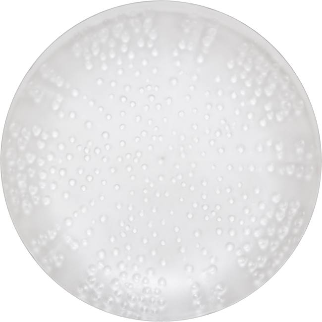 Ocean Clear 10inch Plastic Plates Party at Lewis Elegant Party