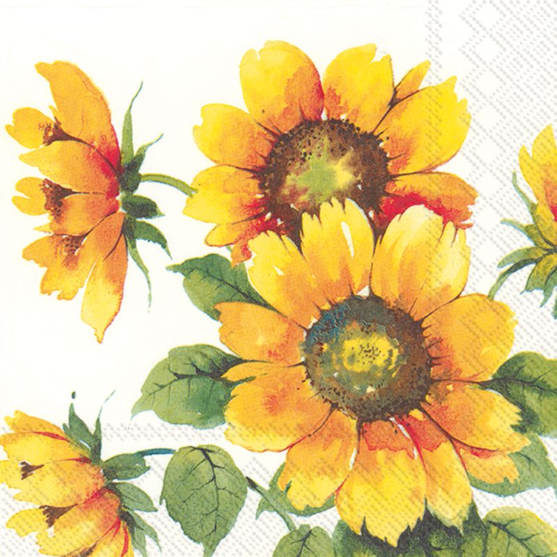 Colorful Sunflowers 3Ply Beverage Napkins Party at Lewis Elegant
