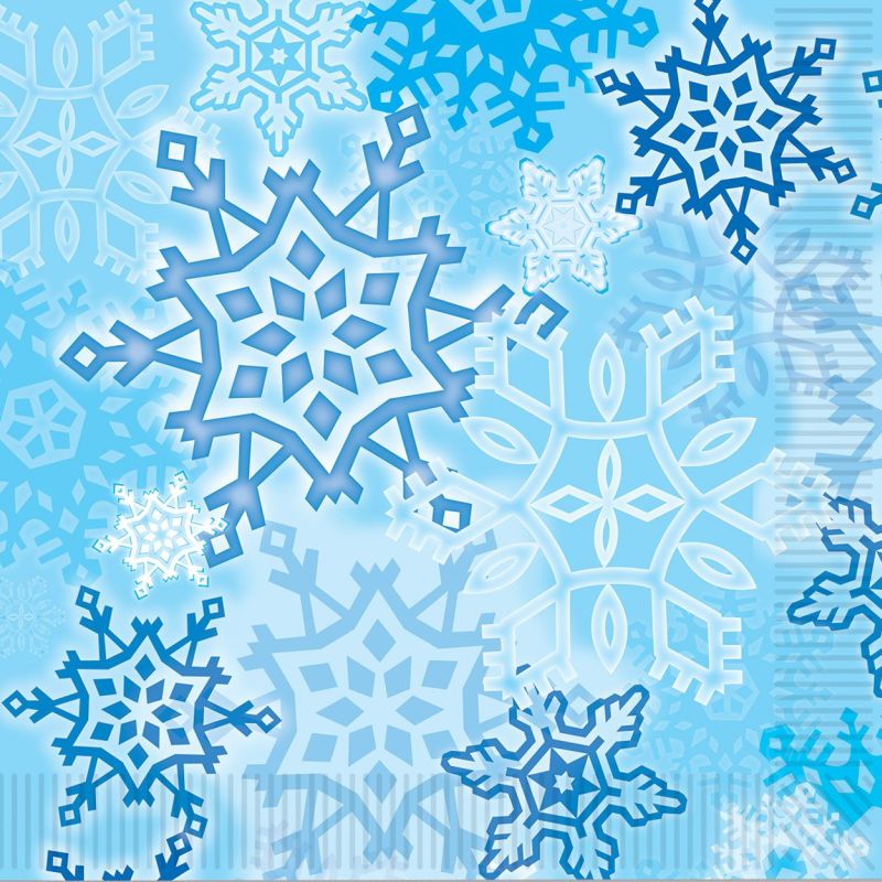Snowflake Lunch Napkins Party at Lewis Elegant Party Supplies, Plastic